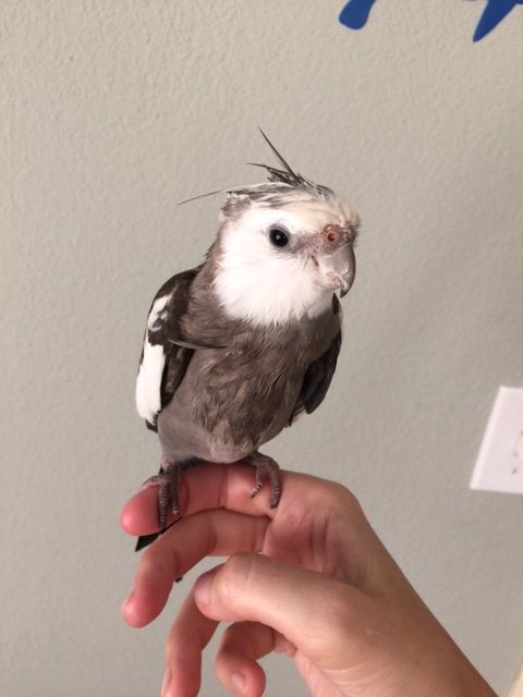 I love my fans very much - that's why I always make sure to feature as much "prettiness" and "cuteness" as possible in each of my photos.