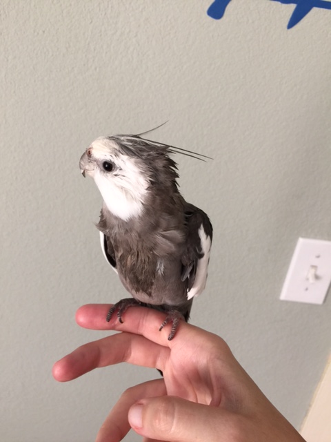 Sure we could do a whole photo shoot featuring "prettiness" and "cuteness" - another great idea, Mom!