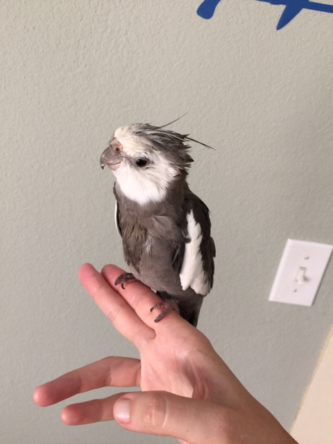 Well, yes, I do think viewing this photo shoot will uplift all of my fans.