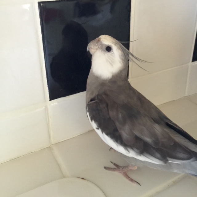 I understand. It can be daunting at first to learn from a pro, but if you keep at it, it will start to feel natural.