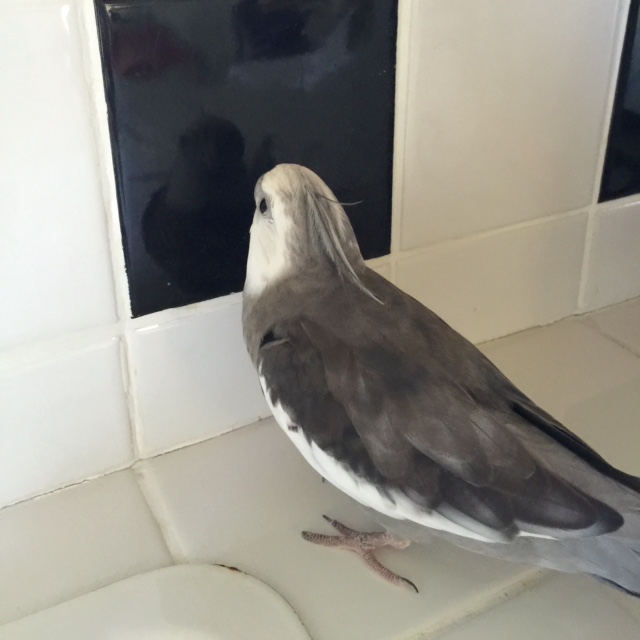 Wait a minute. Who are you? Have you been there the whole time?