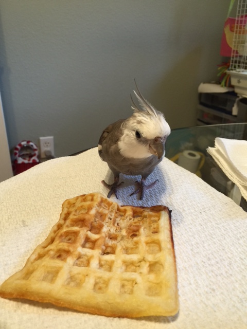 Two waffles? Nope. Three waffles? Not even close. Unlimited waffles? Well, now we're starting to get somewhere....