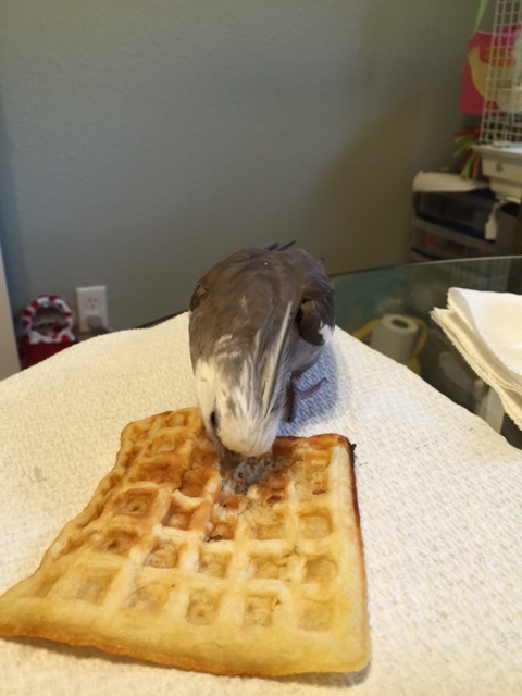 That's right. You're tasting - I mean doing - great.