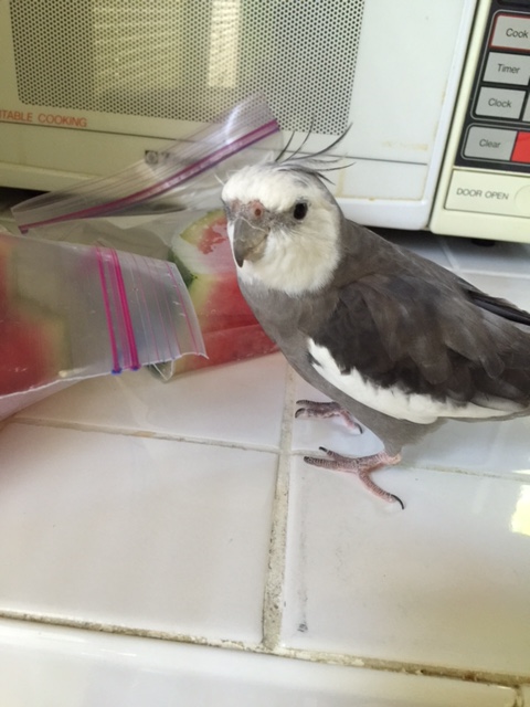 There my Mom goes again, chewing on that odd red and green snack she likes.