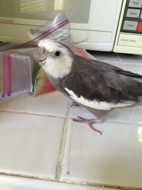 But she tends to be an unusually slow learner.