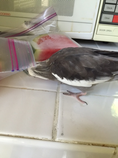 It's just a mystery.