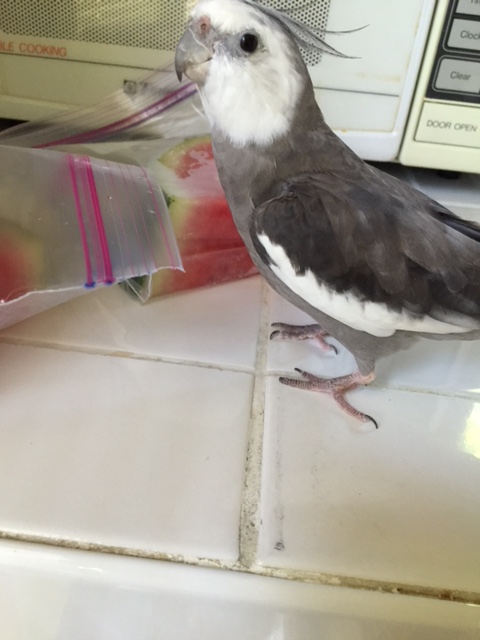 Which is why she'll just stay hot...and I'll just stay cool.