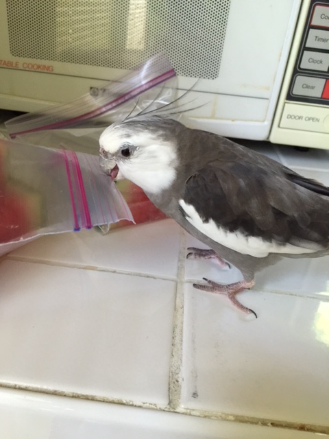 I've even modified the lessons for "visual learning" - no dice.