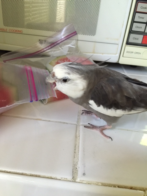 It takes lots of repetition.