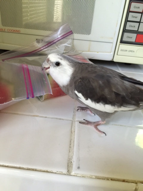 For years I've tried to show her how to find the most refreshment.