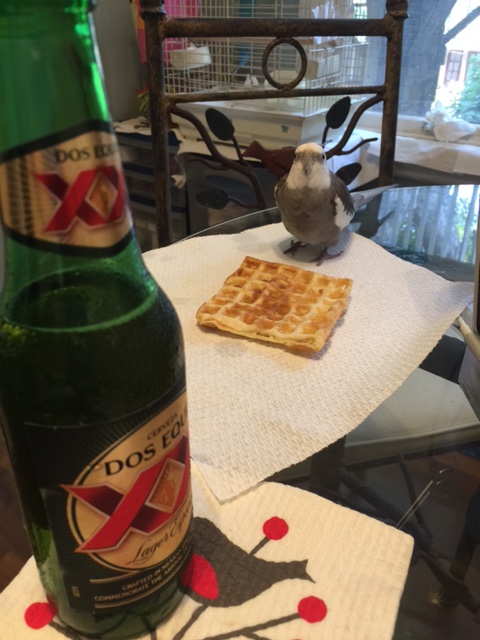 There she goes again with that odd bubbling liquid. Clearly I will have to do another demonstration since she still doesn't understand Celebration 101.