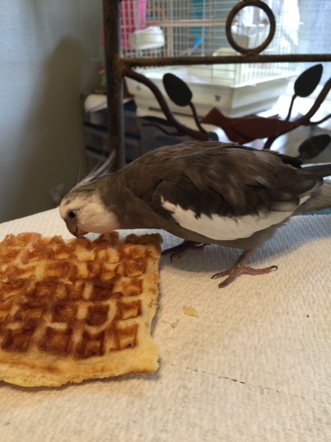 Did anyone ever tell you that you ask a lot of questions? No of course you will like where we are going.