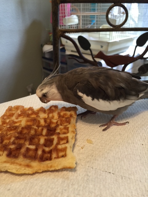 Hi there. My name is Pearl and you look delicious.