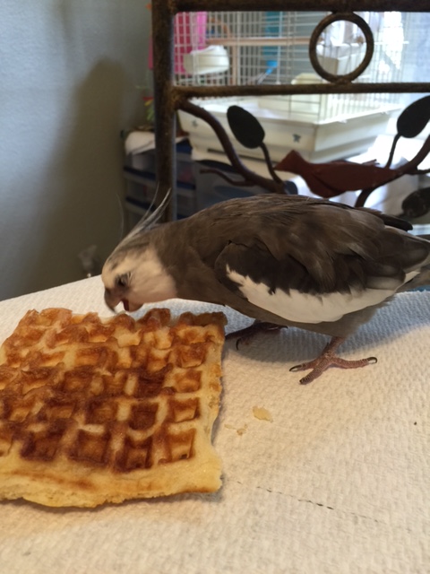 A bit wider should do it...