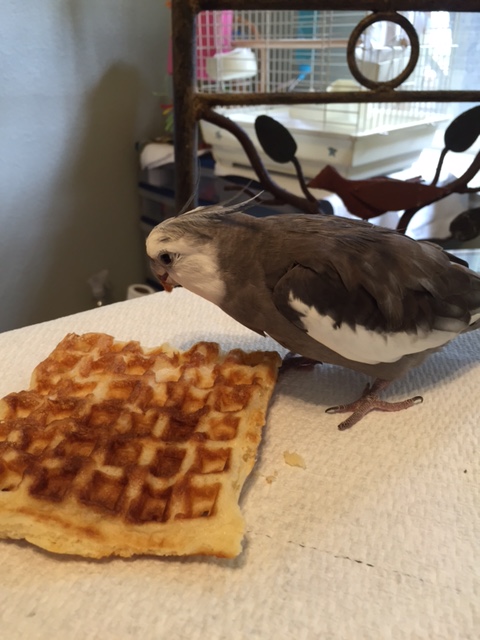 Okay, now remember what I told you - just lay there and hold still.