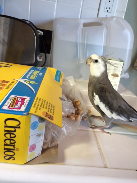 You called and I came, Mom - what's up?