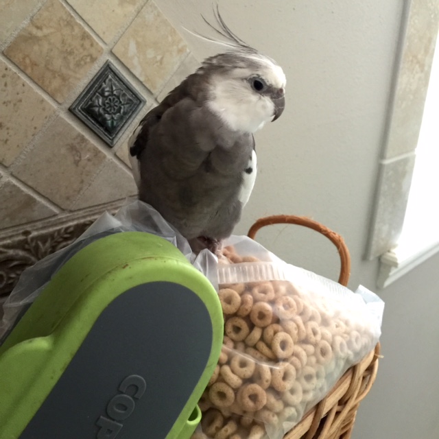 And yet somehow they seem....adrift. 