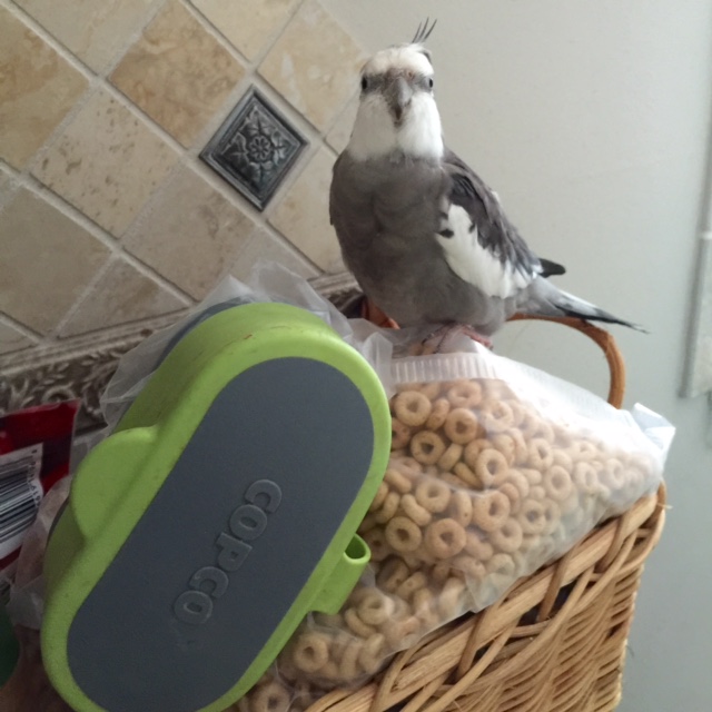 Leadership. Hmmm. An intriguing idea.