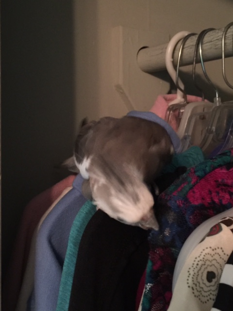 Although frankly, if I had to wear these items I might be desperate too.