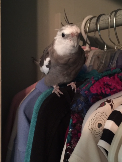 Well, yes, Mom, I know you are very eager to look stylish like me.