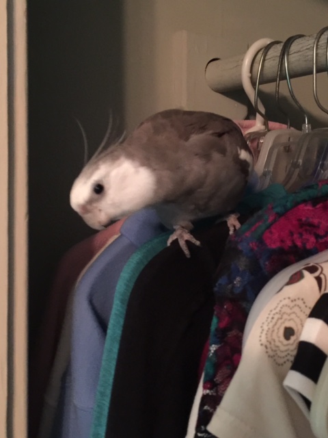 First I have to take a thorough inventory of the items here to assess your current style.