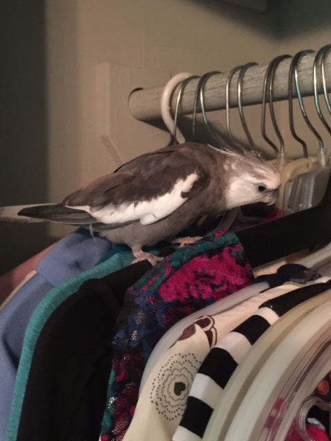 Sheesh. Some clients are so desperate....