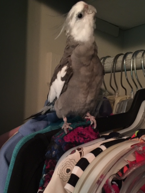 Well, that should take care of all these items. Do you happen to have any more?