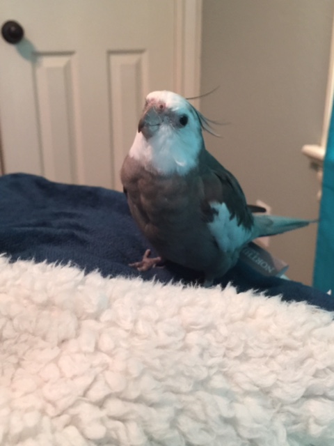 Okay, Mom - I'll do the cover shoot.