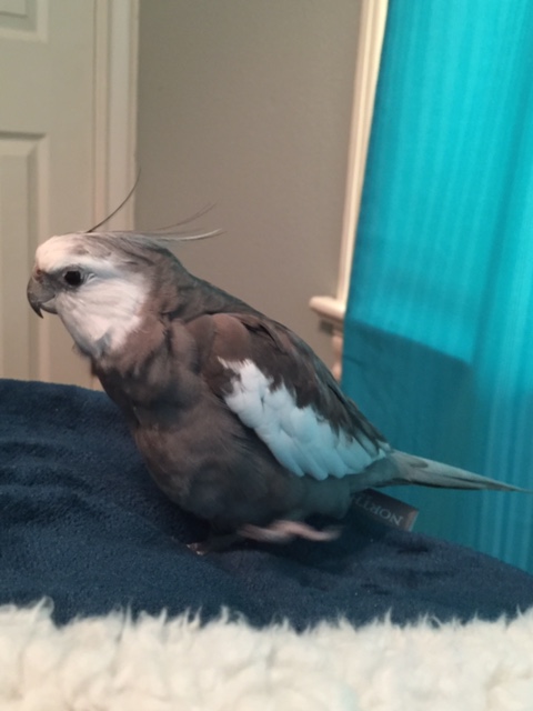 And very comfy indeed under my famous cute pink feet.