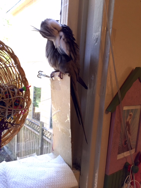 There is only one thing left to do.