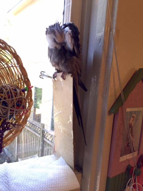 Time to break out the big guns.