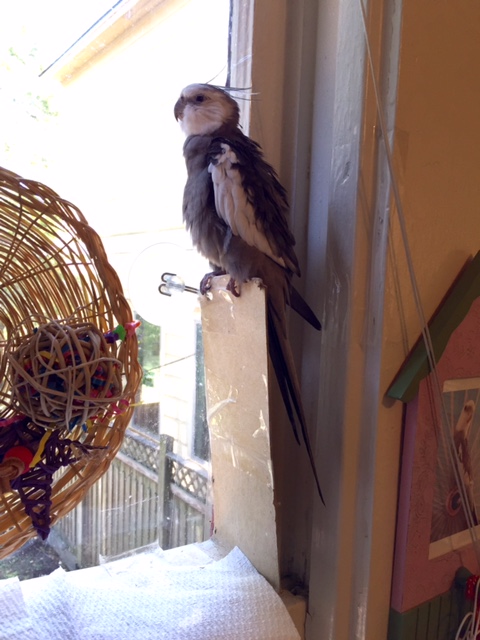 Sigh. They're all still there.