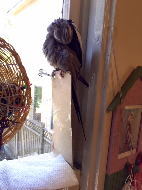 Okay, but don't say I didn't warn you....!