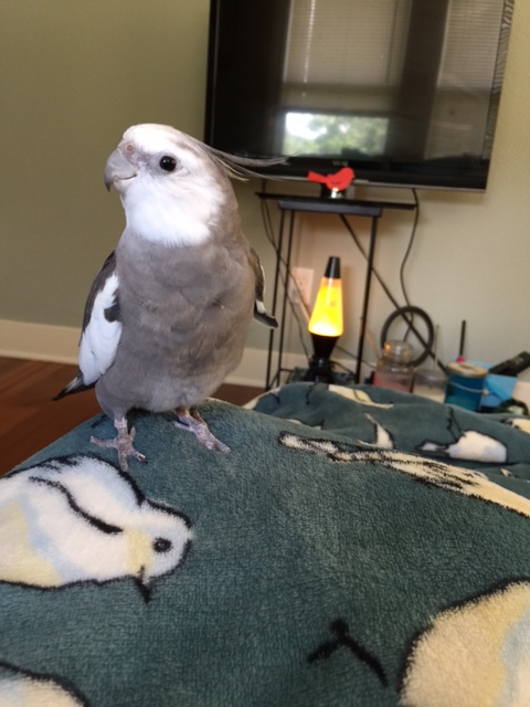 Hi Mom - you've been sitting here all day. And you don't look that great. 