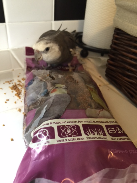 So now you want to get into position.....