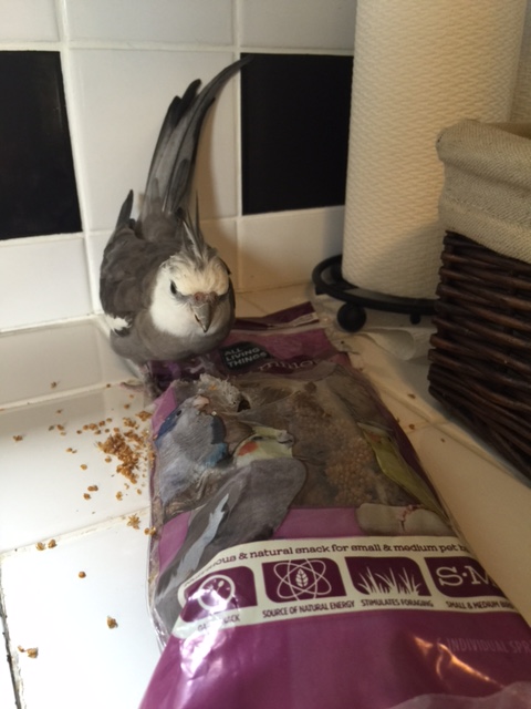 Oh, good, Mom, you're watching. 