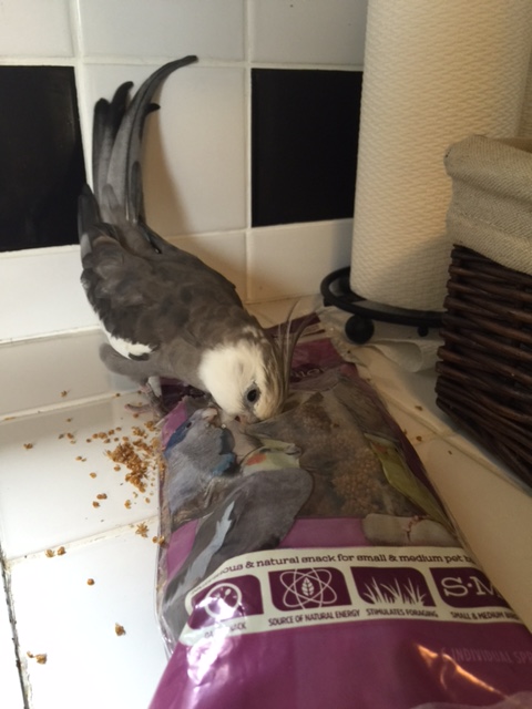 For this lesson I am going to combine words and visuals, since I know you are more of a "visual learner."