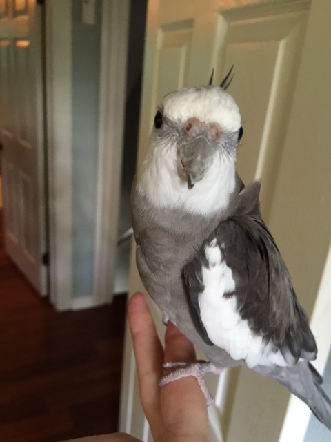 Um, Mom....you're really staring.