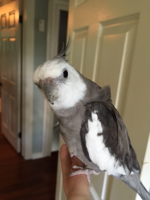 I knew you would understand.