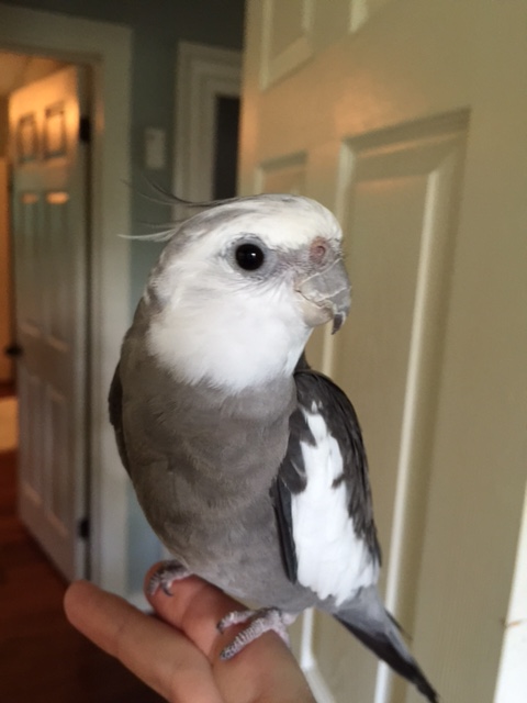 And while they're getting ready, you can photograph one of my other (many) good sides.