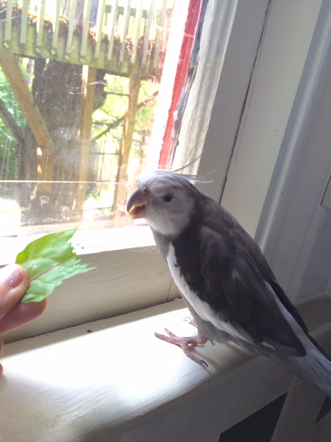 And it doesn't seem to scare easily either....always a good sign.