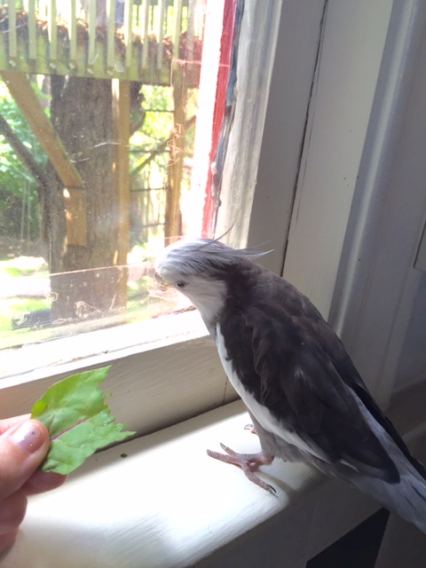 Oh boy. It's the new waitress again. I got her last time and she has no idea what she's doing.