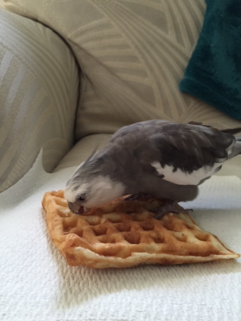 Being with you is simply.....heavenly.