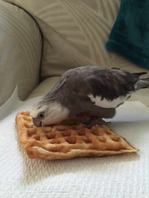 How divine you smell.....I mean look....