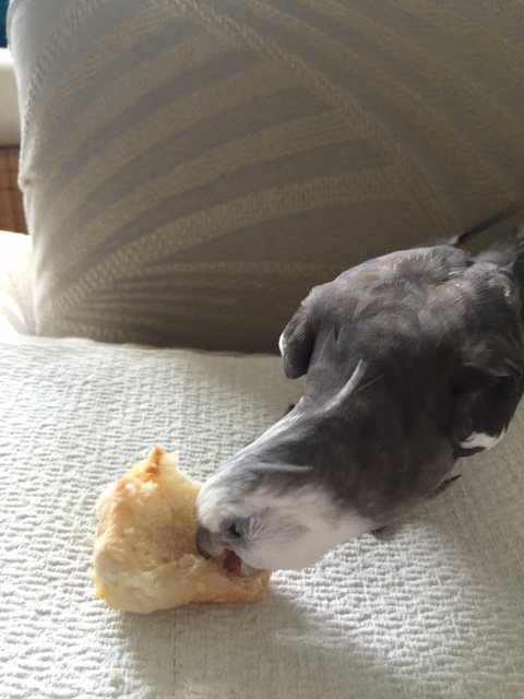 Even if it doesn't faint right away, be sure to quickly strike anyway. 