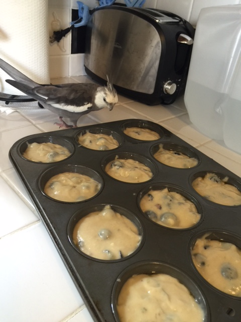 And since it is coming out of my kitchen, everyone will assume I like this dish.