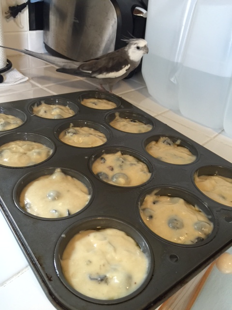 What about you? Nope - me neither.