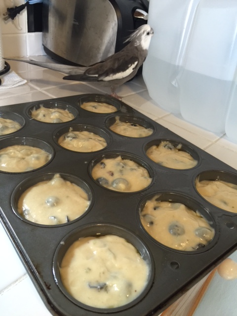 What's that? You'd like it more if it tasted more like waffles? That's exactly what I told her!