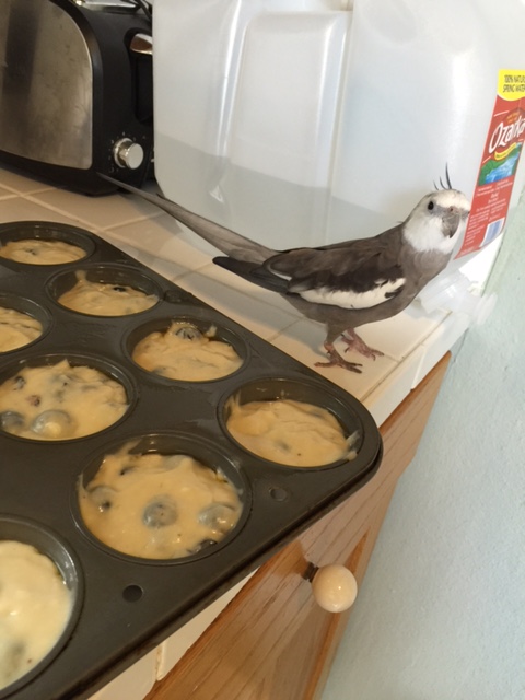 Hmmmm. How shall I put this....?