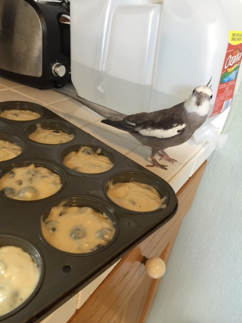 Mom? Yes I did notice you made a fresh new dish. 